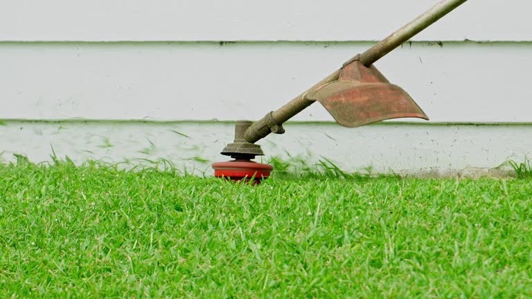 Best Lawn Pest Prevention  in Yaeyville, NC