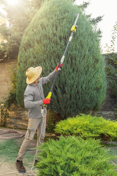 Best Lawn Watering Services  in Yaeyville, NC